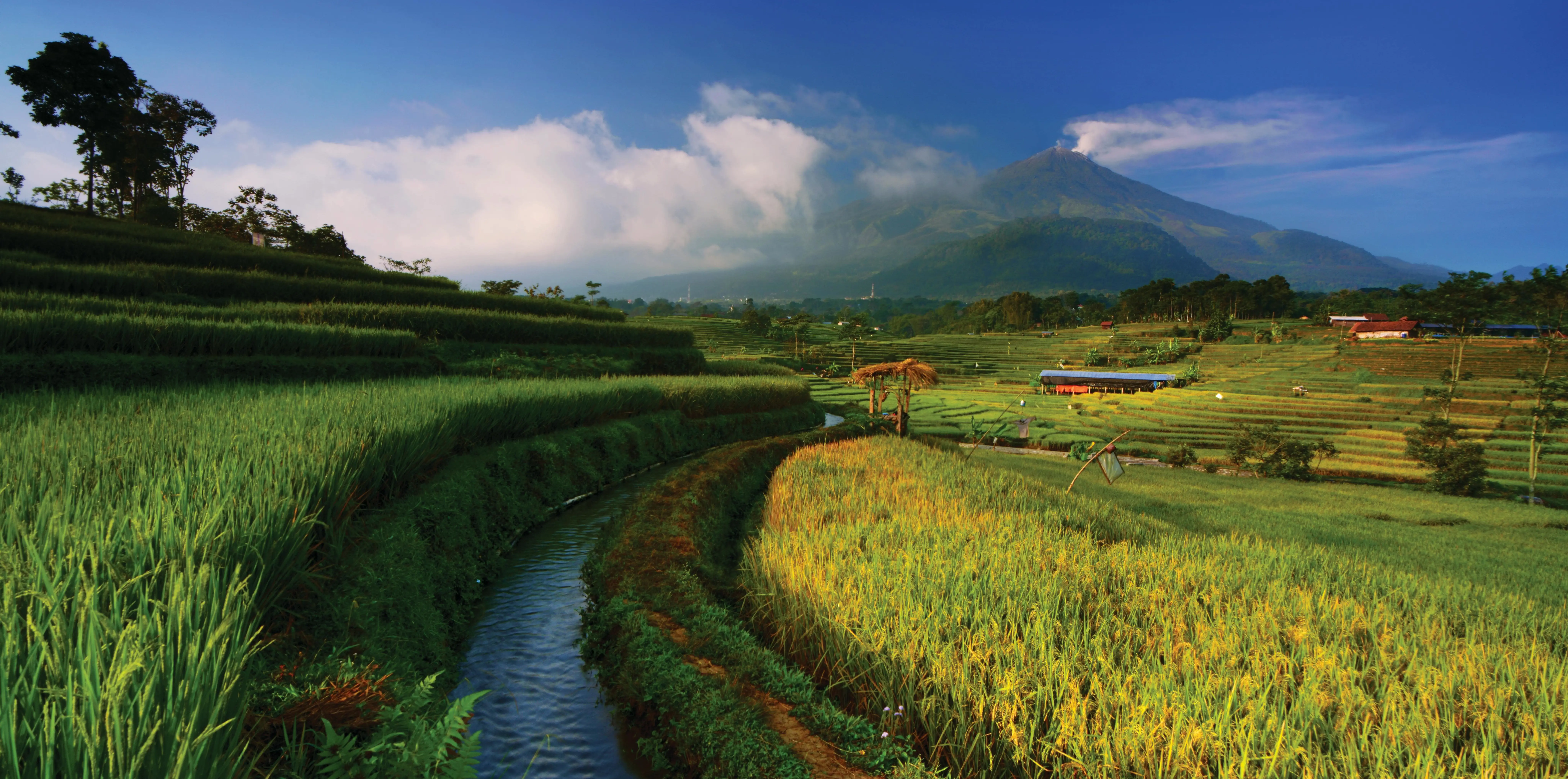 Mengekspresikan Waktu Melalui Baris Kode
